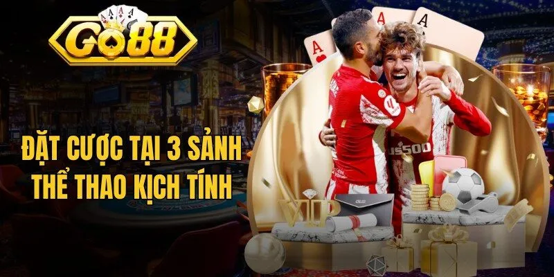 Đặt cược tại 3 sảnh thể thao kịch tính
